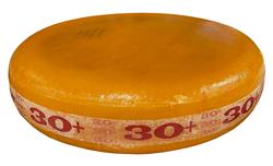 Dutch Cheese 30/35%