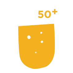 Dutch Cheese 50+